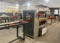 pS(sh)؝LͺϙC_XlһwC